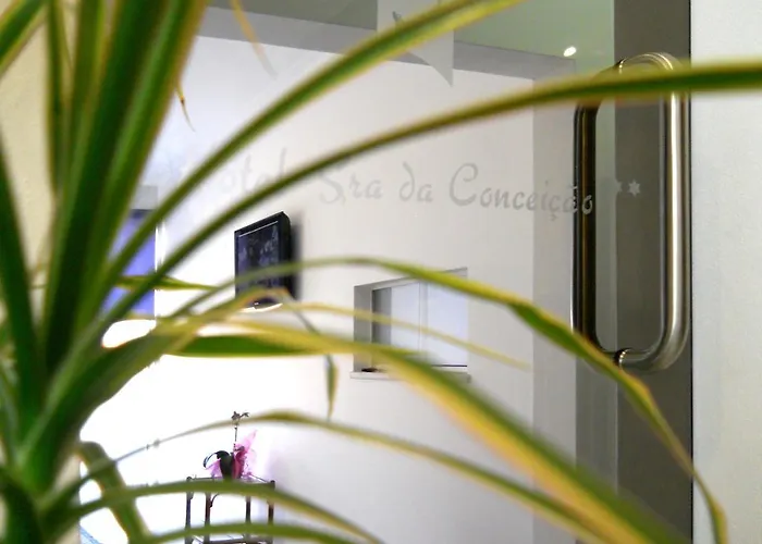 Sra Da Conceicao